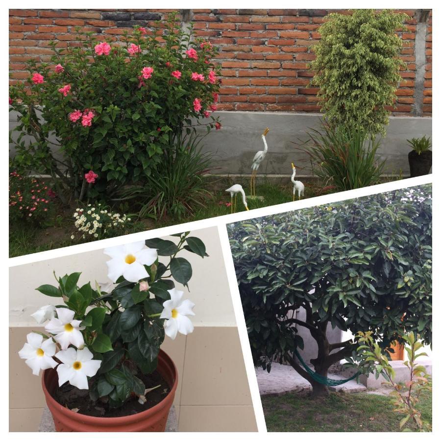 Tababela Airport B&B Luaran gambar